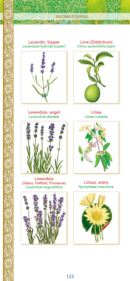 Az illóolajok ereje - Gyógynövénykalauz