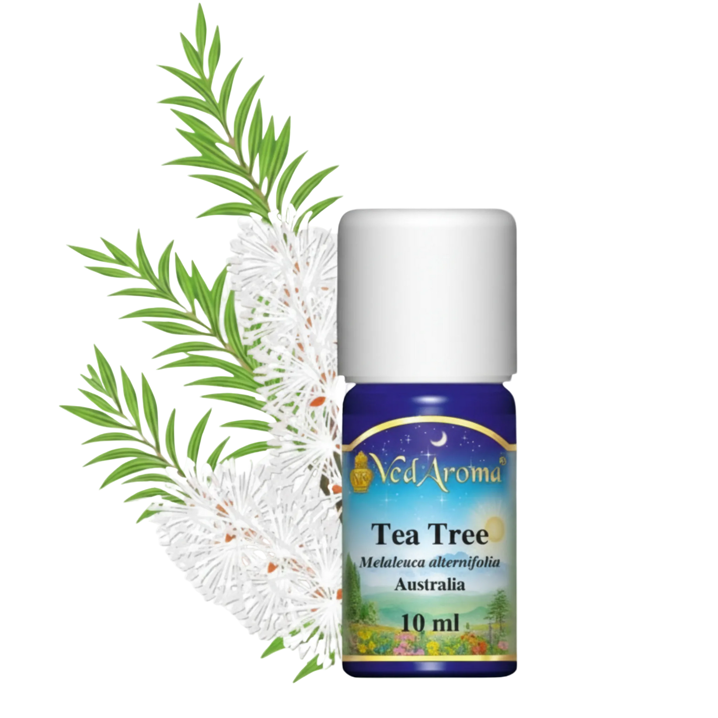 Teafa illóolaj (10 ml)