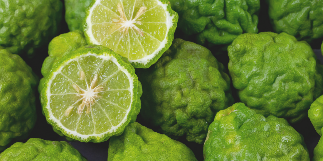 Bergamott illóolaj: frissesség és harmónia egy cseppben