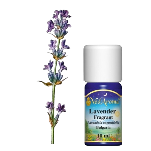 Levendula illatos illóolaj, Bulgária (10 ml)