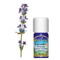 Levendula illatos illóolaj, Bulgária (10 ml)
