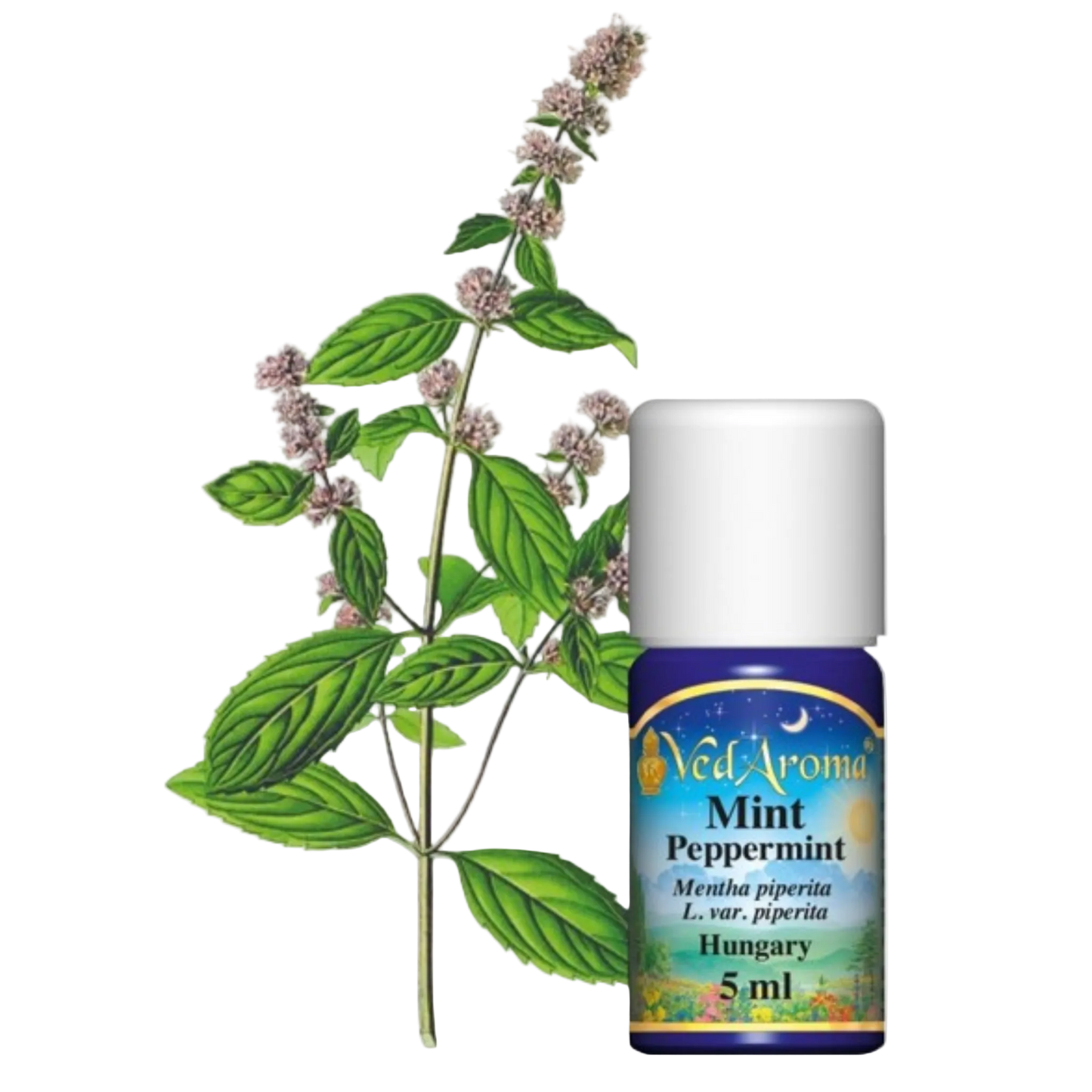 Menta/borsmenta illóolaj (5ml) Magyarország