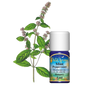 Menta/borsmenta illóolaj (5ml) Magyarország