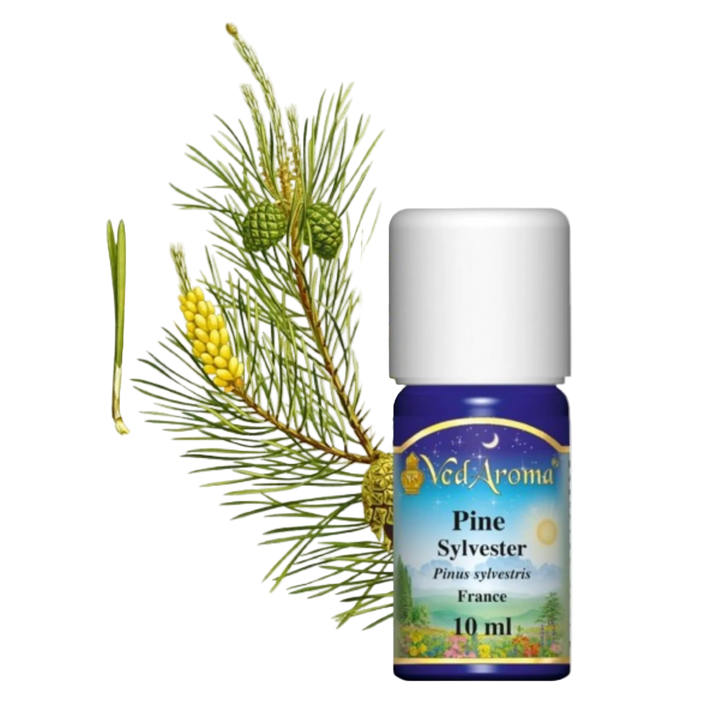 Erdei Fenyő Illóolaj (10 ml)