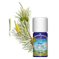 Erdei Fenyő Illóolaj (10 ml)