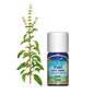 Tulsi (szent bazsalikom) illóolaj (5ml)