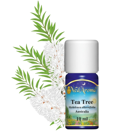 Teafa illóolaj (10 ml)